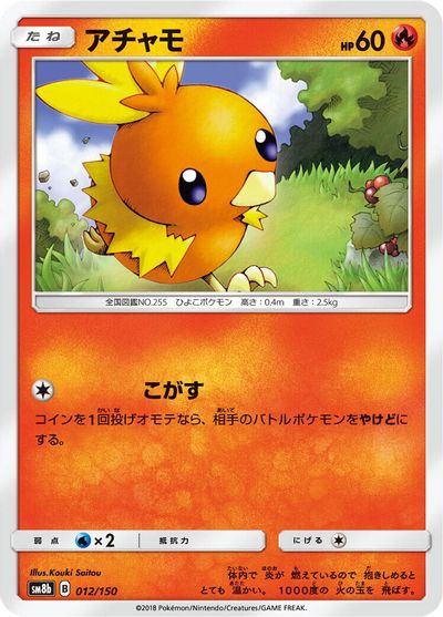 Torchic #12