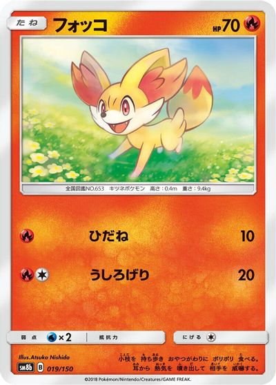 Fennekin #19