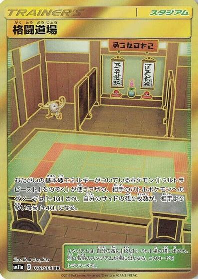Martial Arts Dojo #79