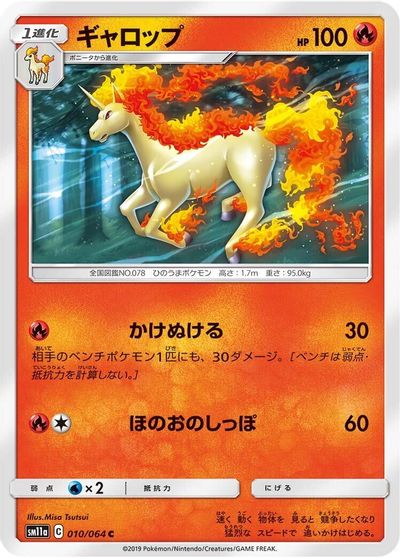 Rapidash #10