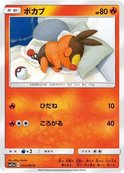 Tepig #13