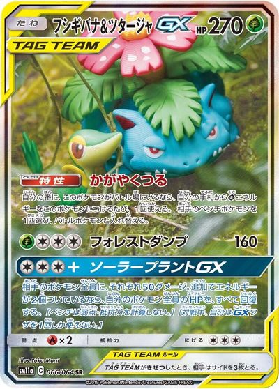 Venusaur & Snivy GX #66