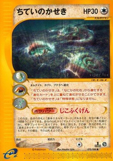 Buried Fossil #70