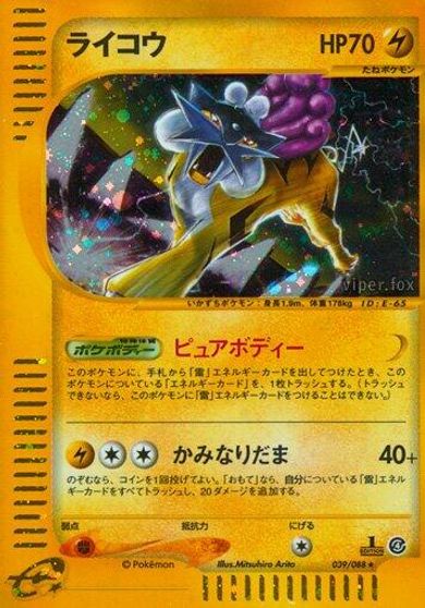 Raikou #39