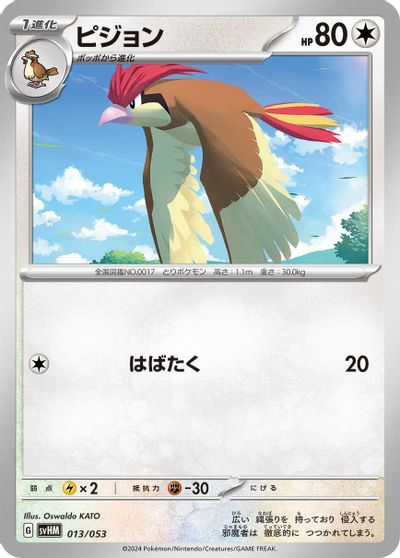 Pidgeotto #13