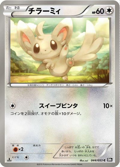 Minccino #44