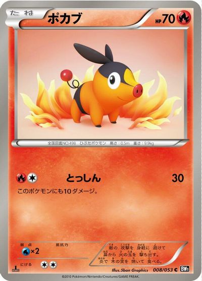 Tepig [1st Edition] #8