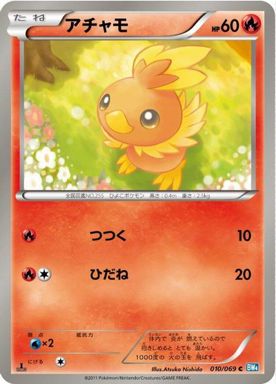 Torchic #10