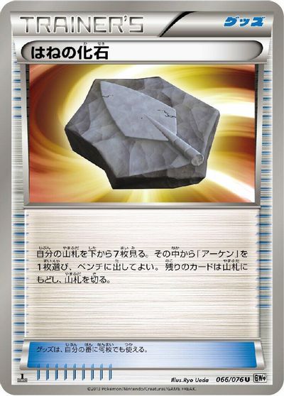 Plume Fossil #66