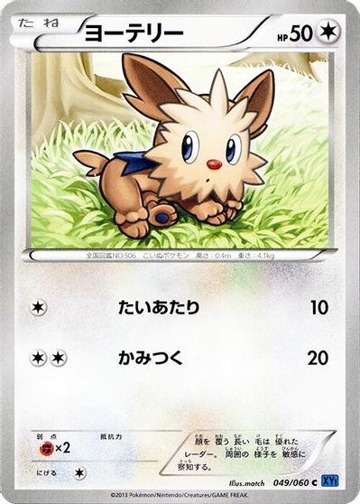 Lillipup #49