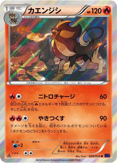 Pyroar #9
