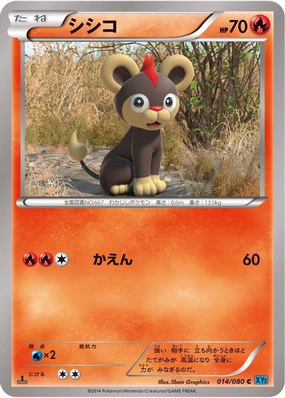 Litleo #14