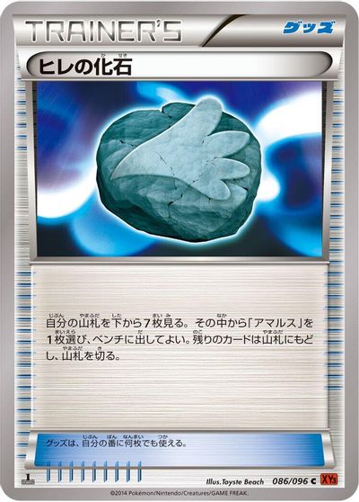 Sail Fossil #86