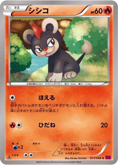 Litleo #11