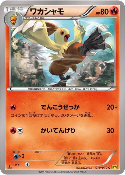 Combusken #19