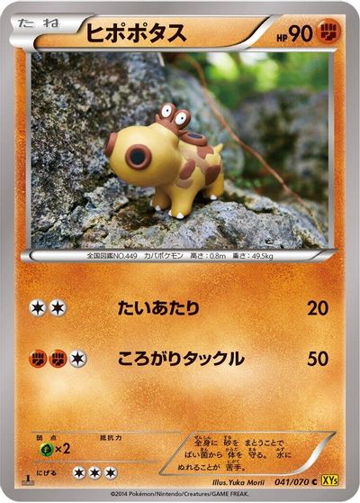 Hippopotas #41