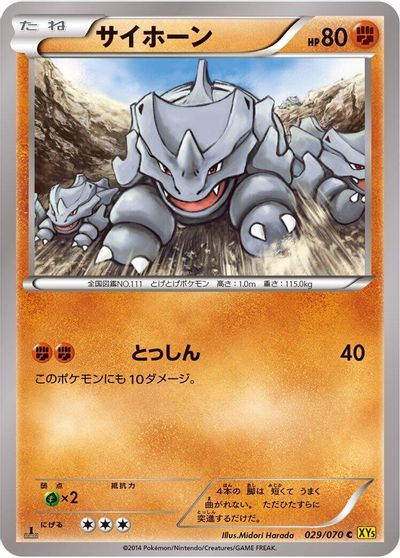 Rhyhorn #29