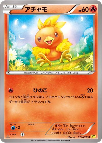 Torchic [1st Edition] #17