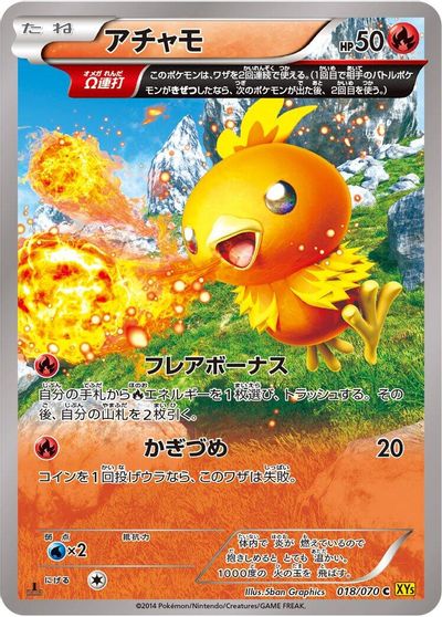 Torchic #18