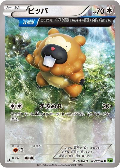 Bidoof [1st Edition] #58