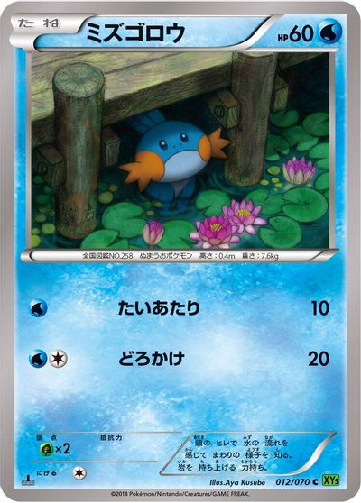 Mudkip #12