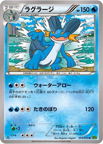 Swampert #14