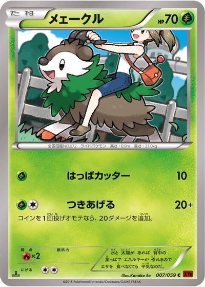 Skiddo #7