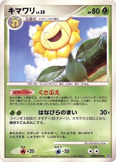 Sunflora [1st Edition]