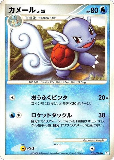 Wartortle #24