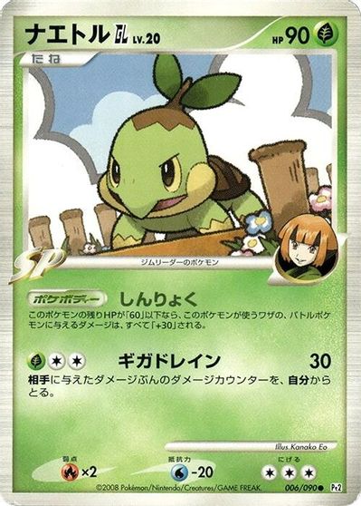 Turtwig #6