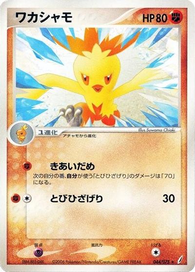 Combusken #44