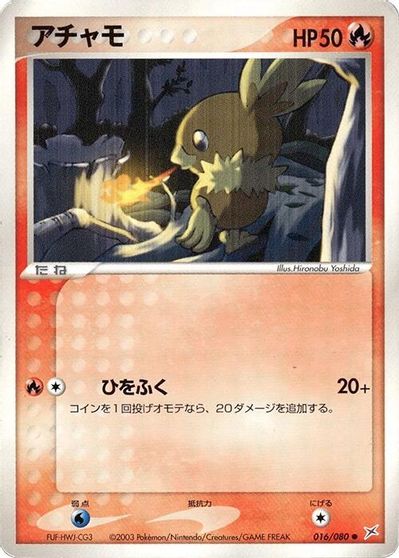 Torchic #16
