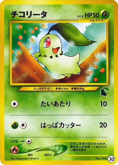 Chikorita #30