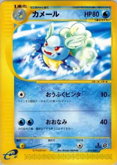 Wartortle [1st Edition] #19
