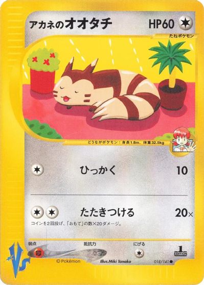 Whitney's Furret #18