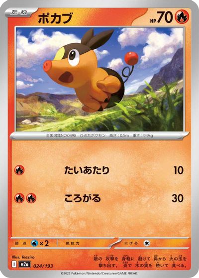 Tepig #24