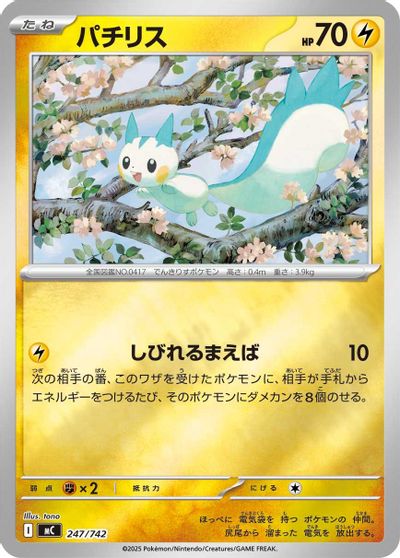 Pachirisu [Mirror Holo] #247