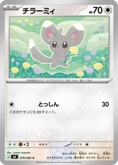 Minccino #70