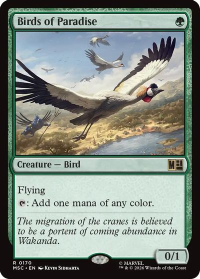 Birds of Paradise #170