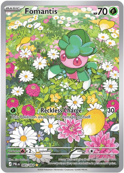 Fomantis #85