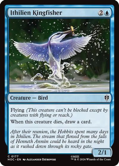 Ithilien Kingfisher #177