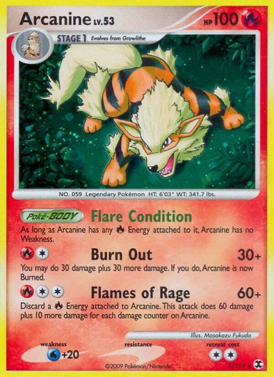 Arcanine #1