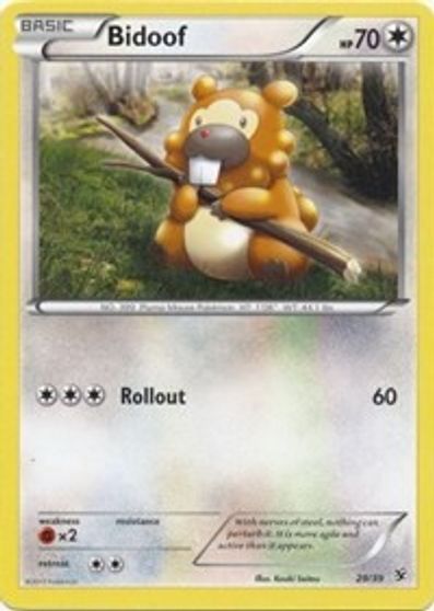 Bidoof #29