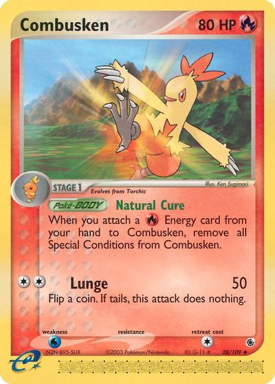 Combusken #28