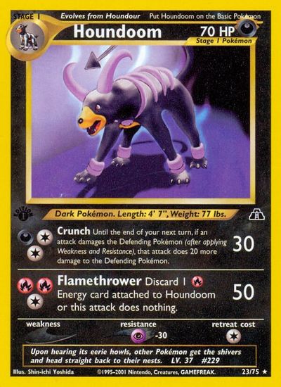 Houndoom #23