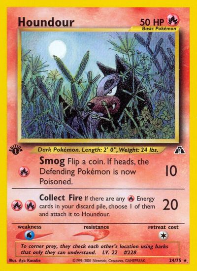 Houndour #24