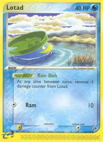 Lotad #66