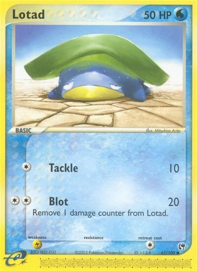 Lotad #67