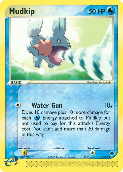 Mudkip #65