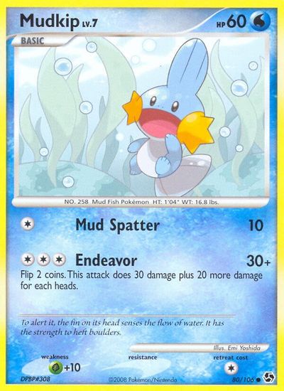 Mudkip #80